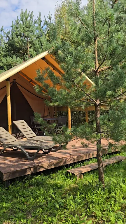 Шатер Ёжик В Тумане