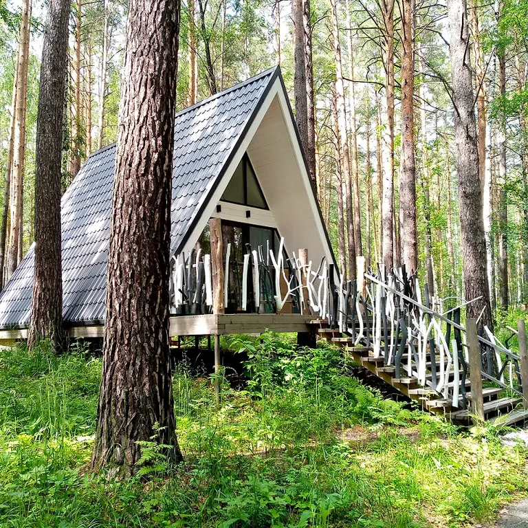 Дом в лесу на берегу озера