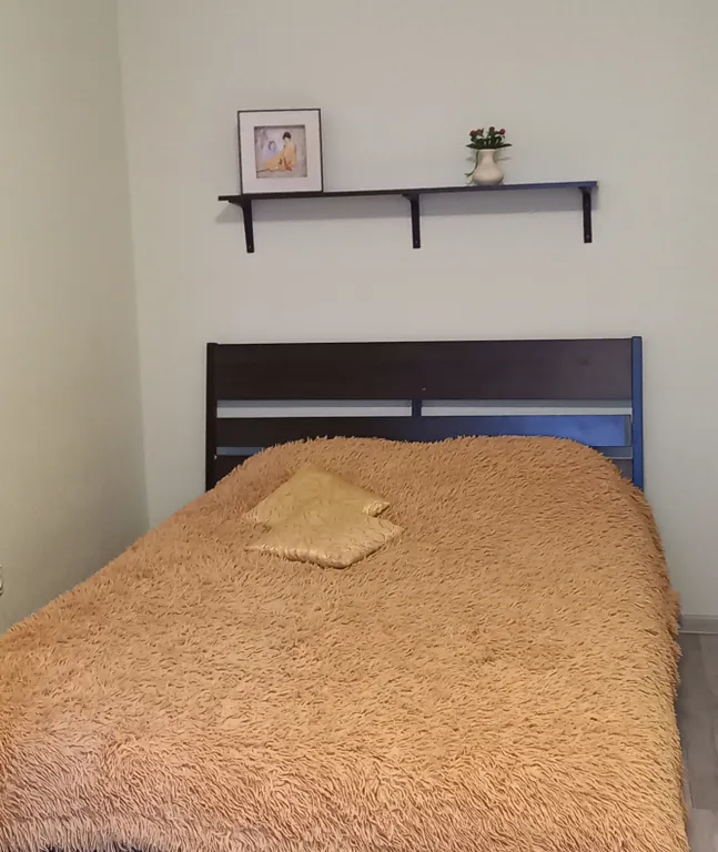 Квартира Уютная, комфортная квартира — Шушары