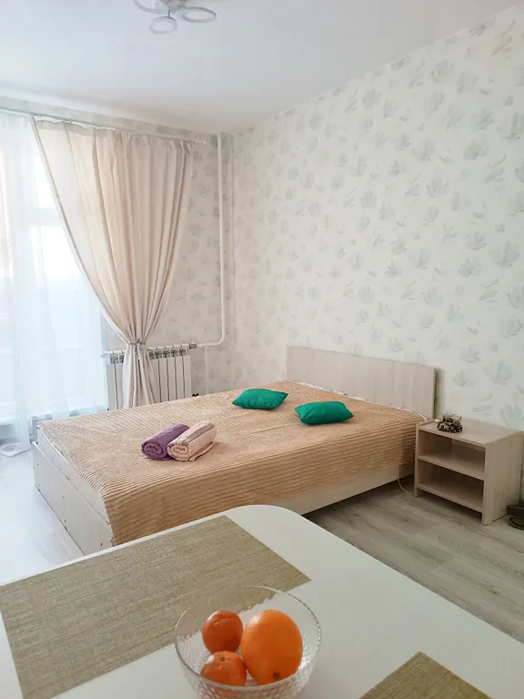 Комфортная студия, Аэропорт, Экспоцентр, МНТК