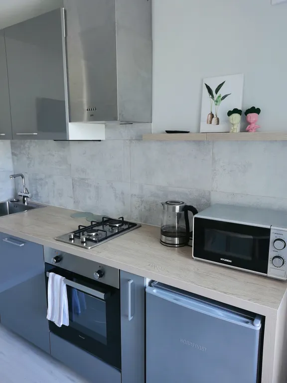 Уютная квартира у Певческого поля