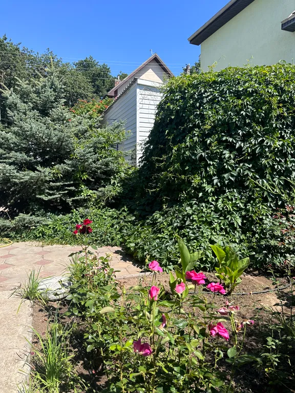 Континент - загородный оазис