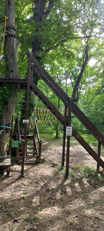 Уютный дом возле моря недалеко от уникального лианового леса