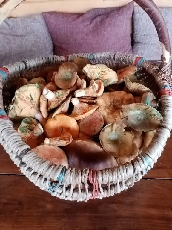 Усадьба в Беловежской пуще У Камина