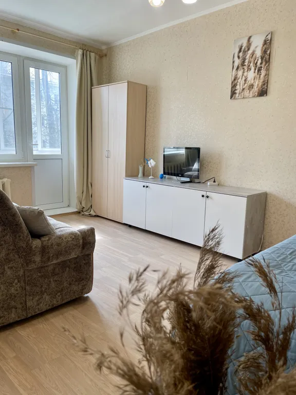 Уютная однокомнатная квартира в центре