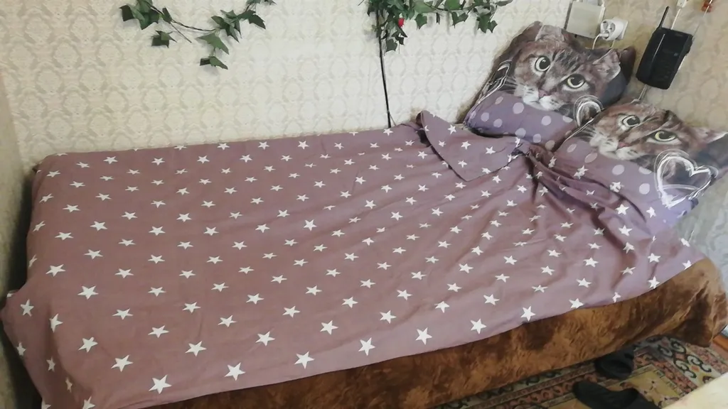 2-комнатная квартира в центре