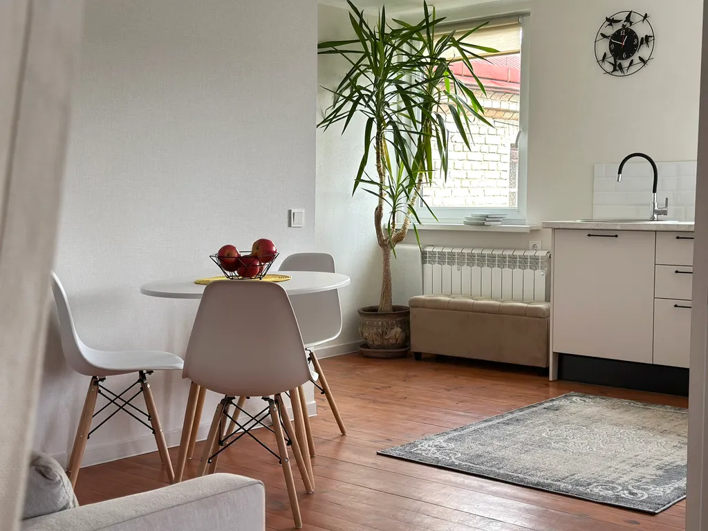 Просторная студия с видом на старинный Гродно