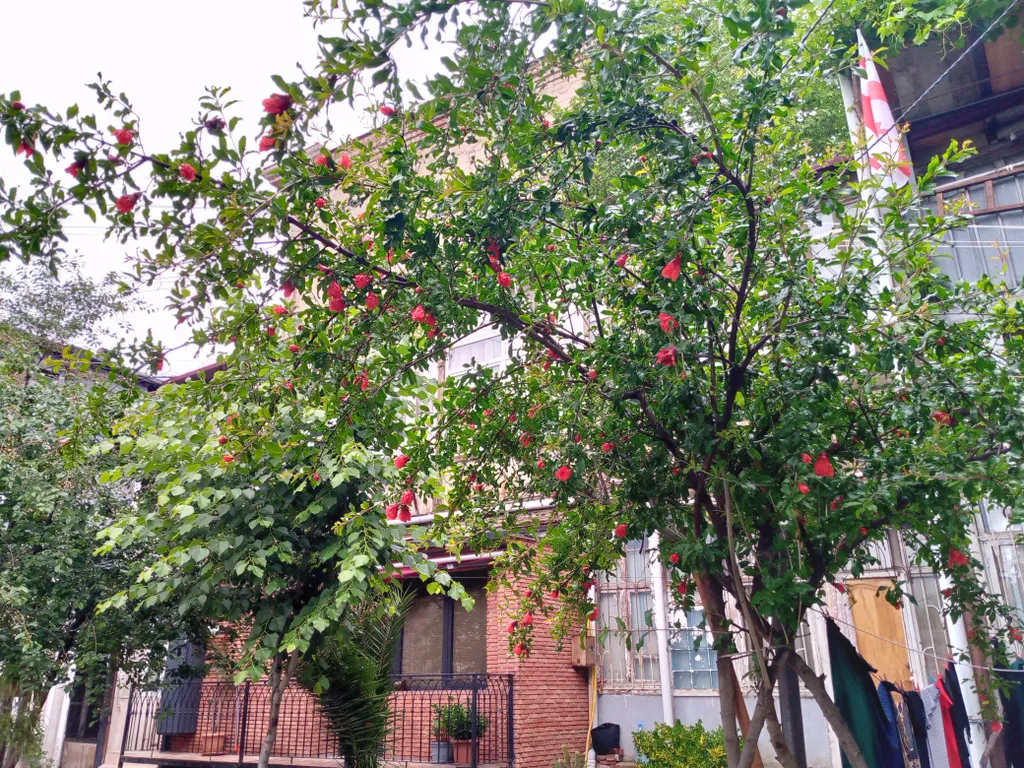 Апартамент в центре города Тбилиси