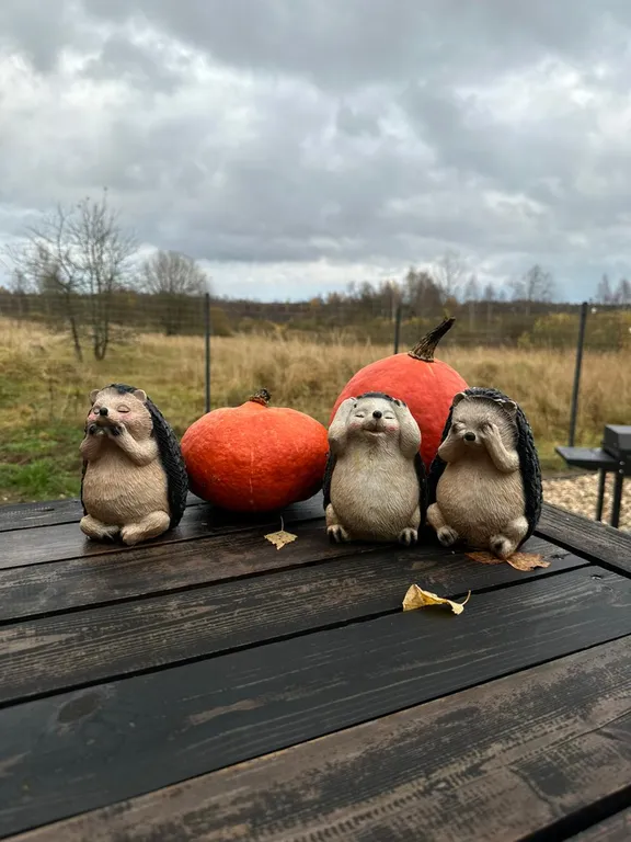 Уютный хиппи-домик в Подмосковье