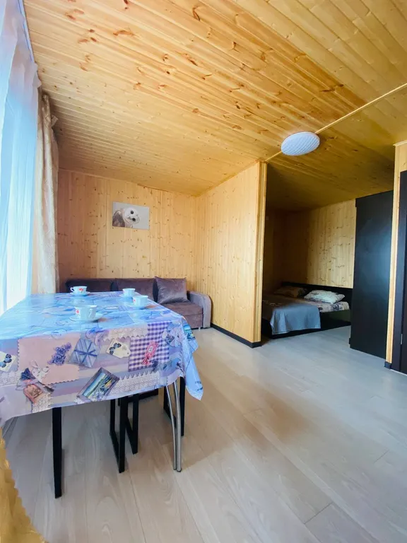 Квартира Студия с балконом — аренда посуточно в Благовещенская