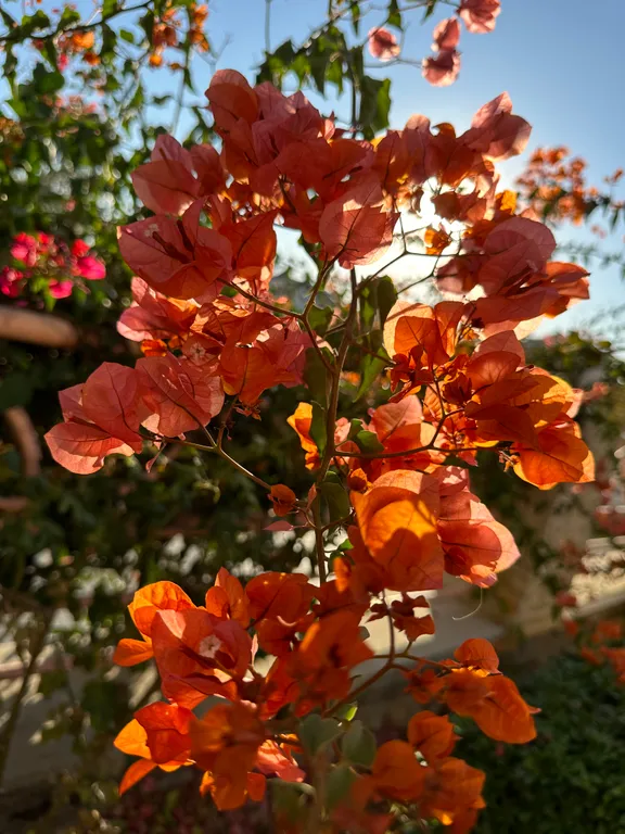 Видовой апартамент на море в центре
