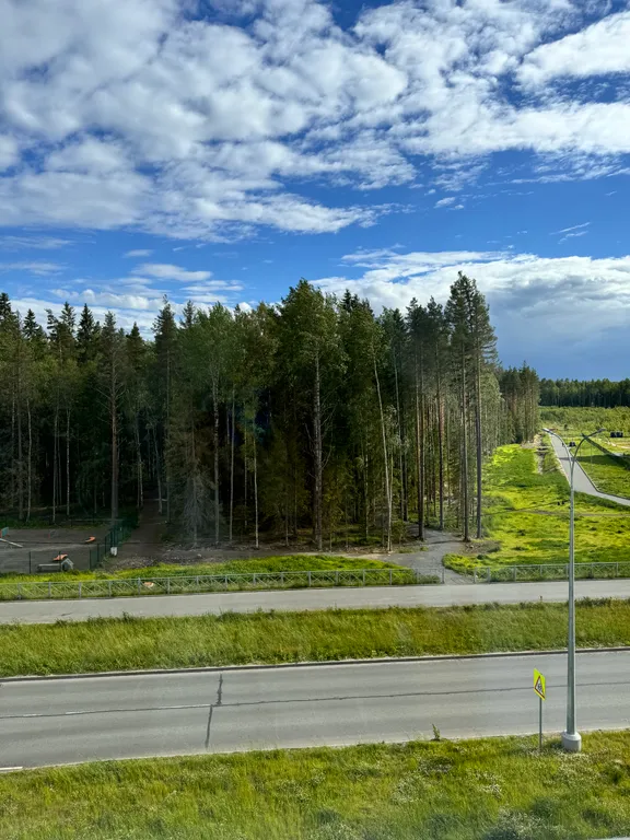 Квартира в новом тихом районе