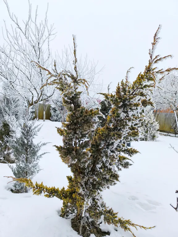 Чистый дом на большую компанию, хорошие матрасы
