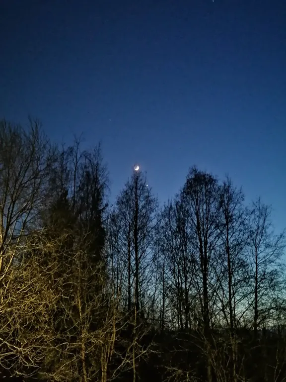 Квартира Комната — Ломоносов