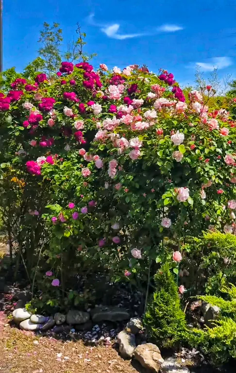 Гостевой дом Anna