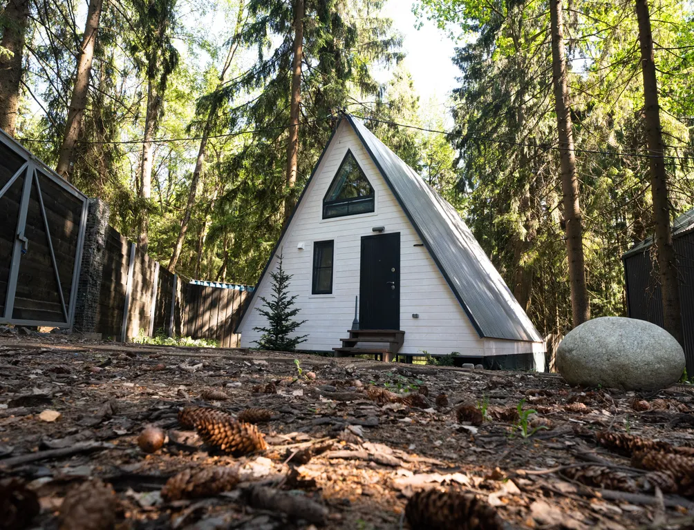 Дом Hamster в хвойном лесу у Большой воды