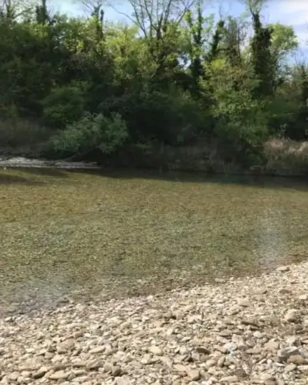 Уютный коттедж в лесу на берегу реки