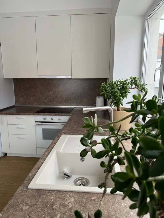 Отдых на дачной