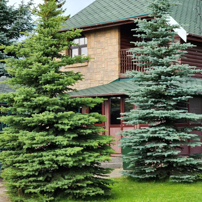 Коттедж Комфорт на юге Санкт-Петербурга внутри КАД, есть мангал и баня