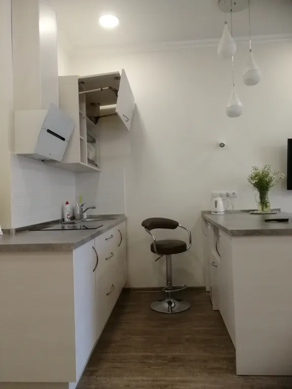 Квартира 1-комнатная Квартира — Светлогорск