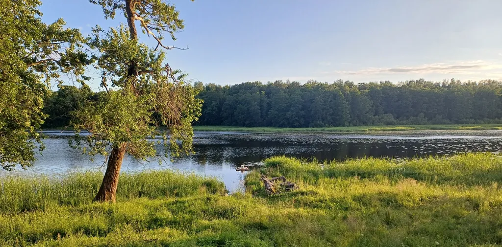 Сауналахти - коттедж с сауной на берегу Банного залива