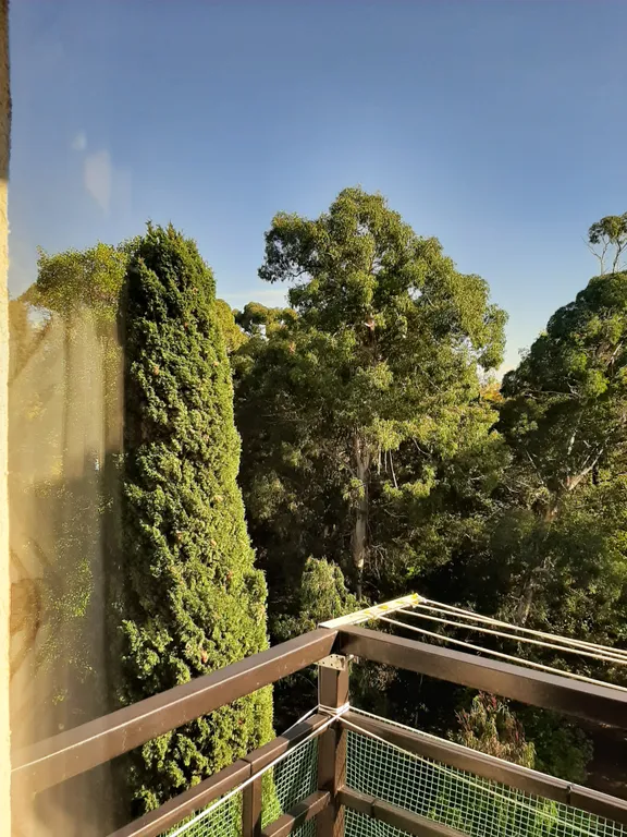 Квартира Квартира от собственника в 15 минутах до моря, с видом на парк Южные — Сириус