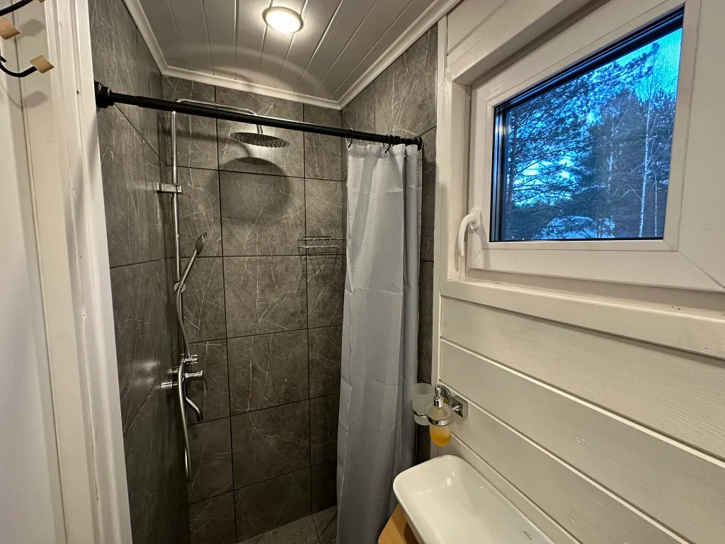 Дом Скандинавия Лес