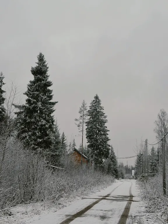 Семейный дом с купелью