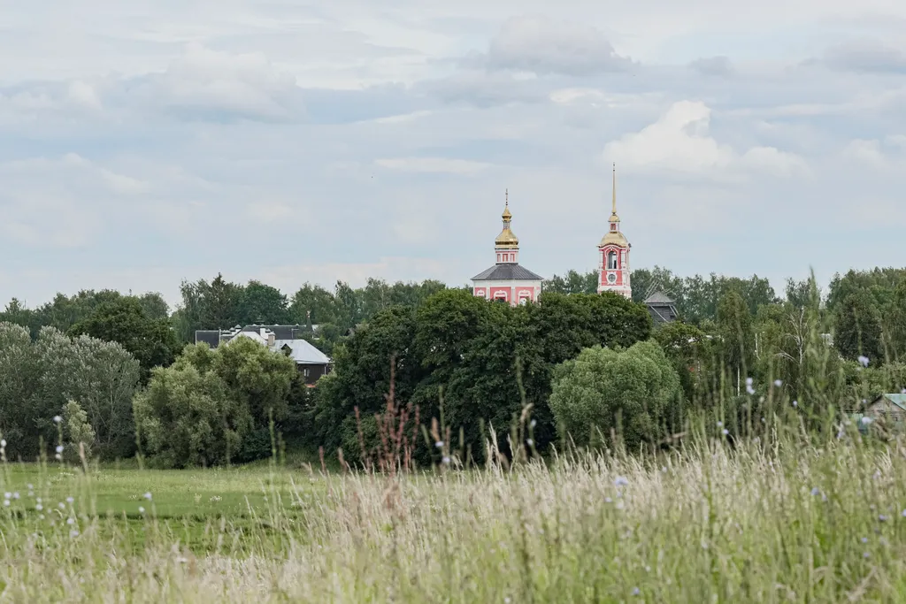 Апартамент Суздаль на ладони