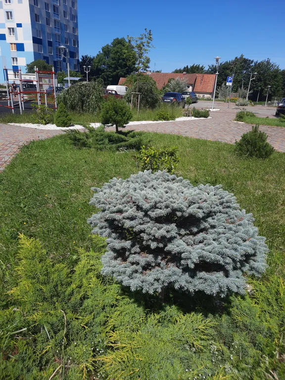 Квартира Уютная, современная квартира на море — Светлогорск