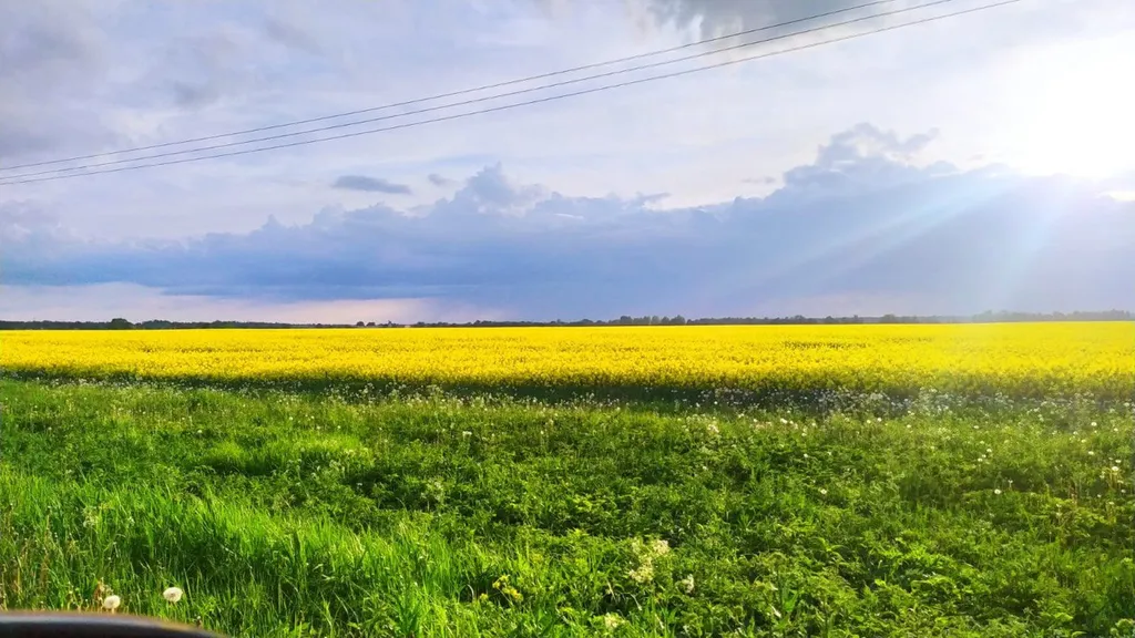 Коттедж Уютный дом у озера Донцо — Волосово