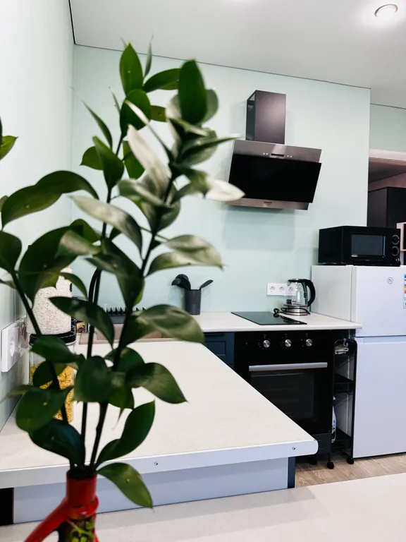 Квартира рядом с аэропором и дацаном