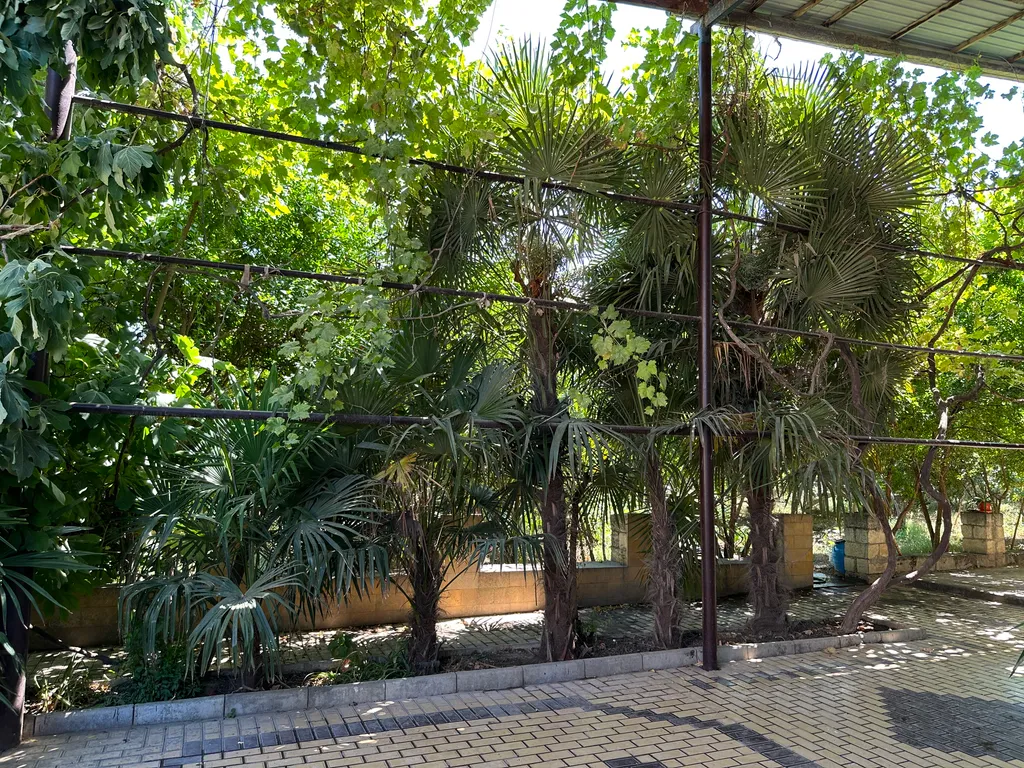 Огромный дом со всеми удобствами