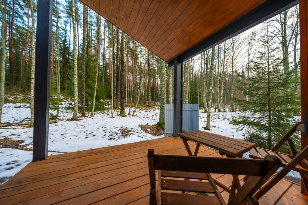 Дом с видом на лес