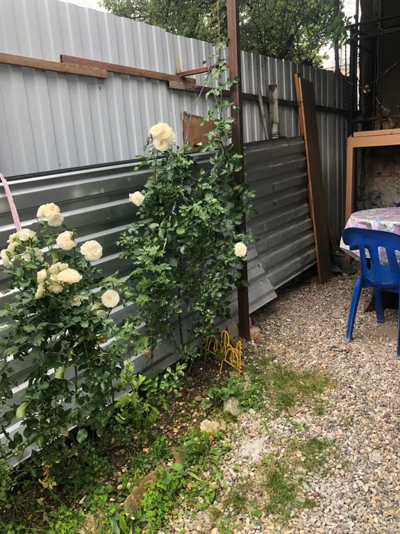 Коттедж Уютный домик возле парка с парковкой и мангалом — Кисловодск