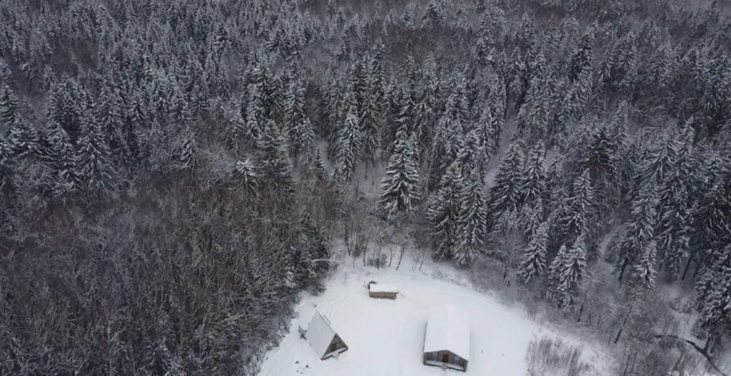 Барн с панорамными окнами с видом на дикий лес