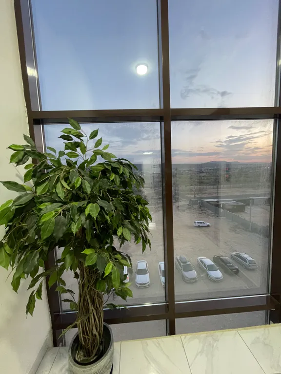 Уютная квартира с шикарным видом на море