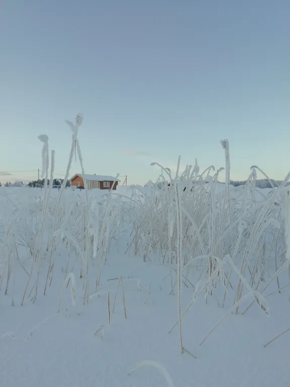 Дом в Заонежье с видом на озеро