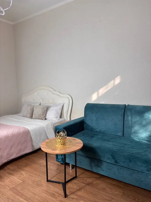 Квартира однокомнатная с отдельным входом