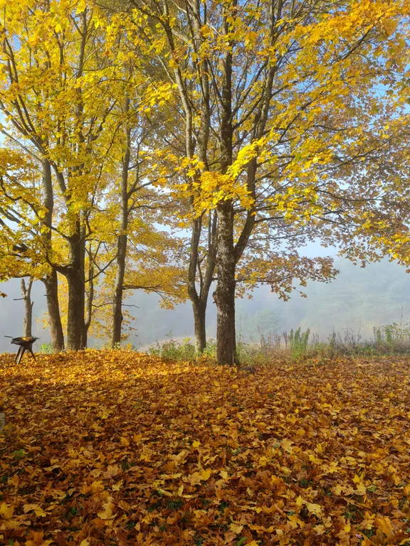 Загородная усадьба
