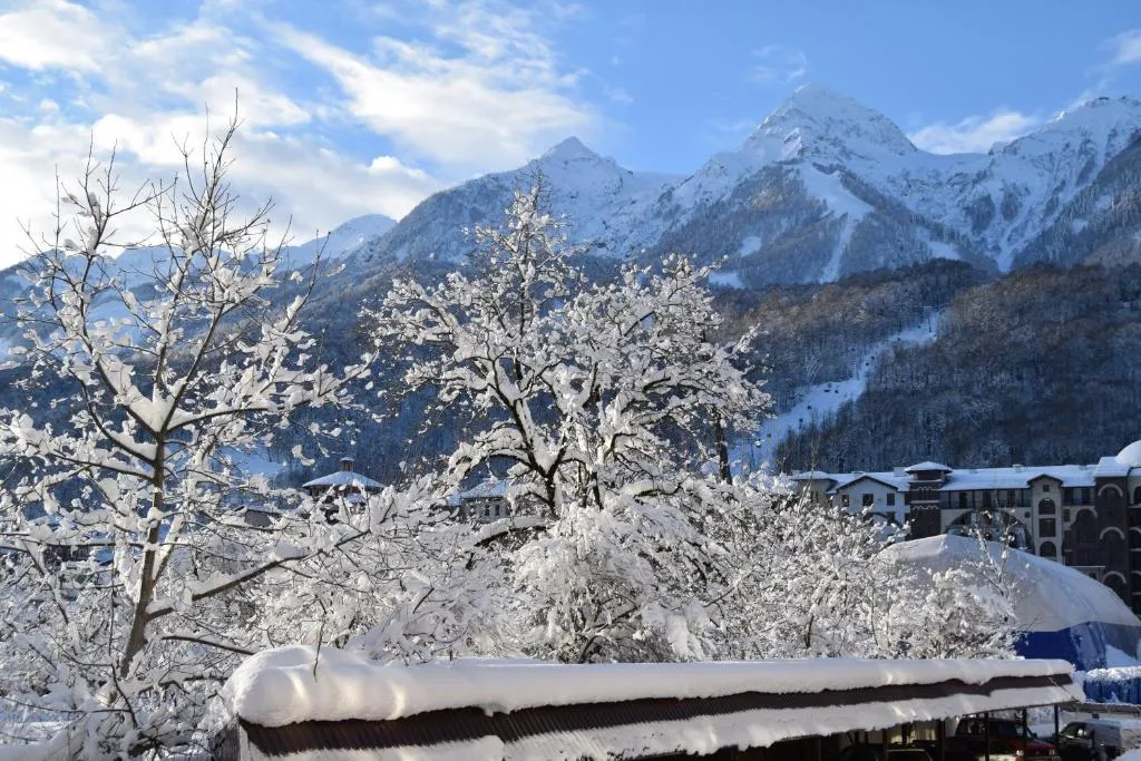 Студия на мансарде