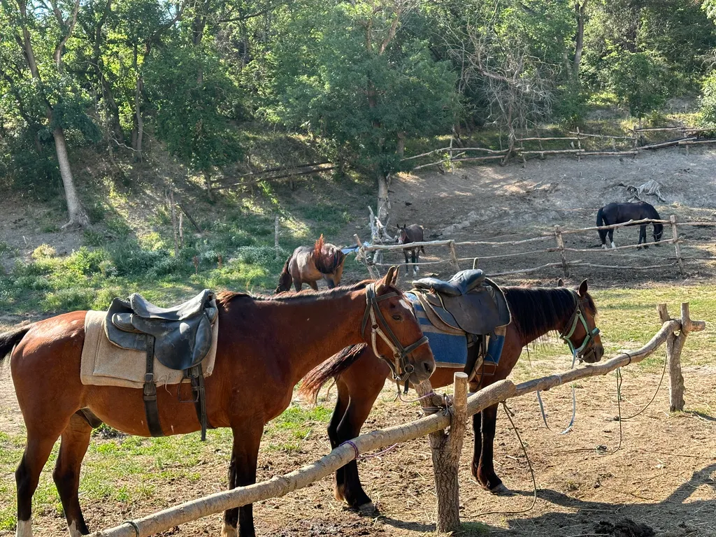 Апартаменты с видом на детскую площадку ЖК Резиденция Утриш