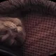 Павел