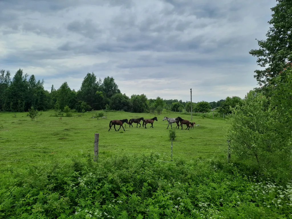 Домик с видом на озеро