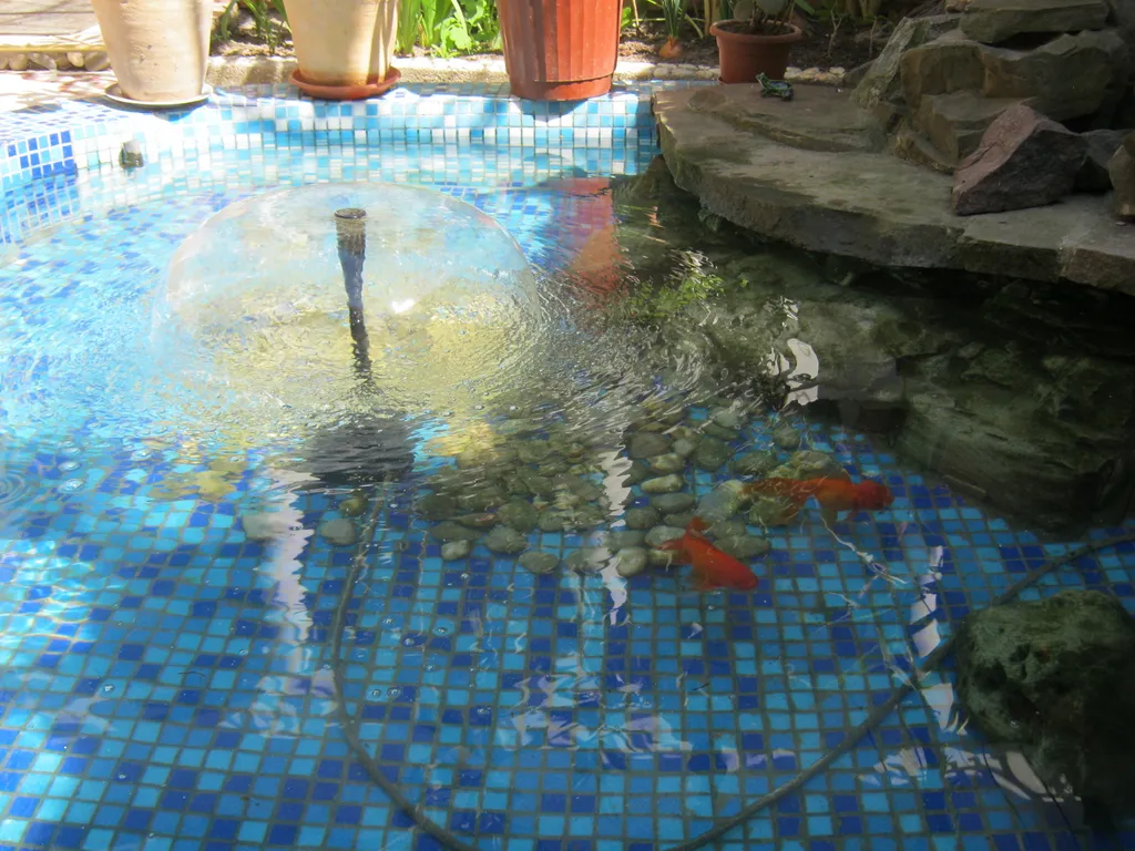 Квартира Жильё в частном доме с видом на бассейн с рыбками — Евпатория