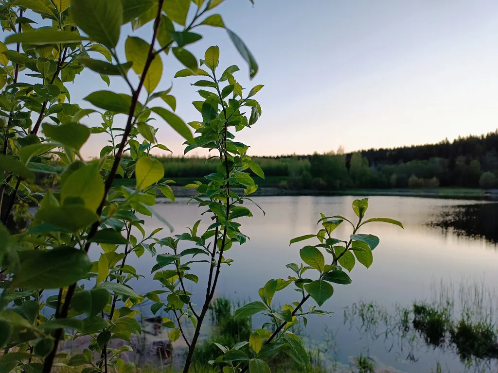 Гостевой дом счастье любит тишину
