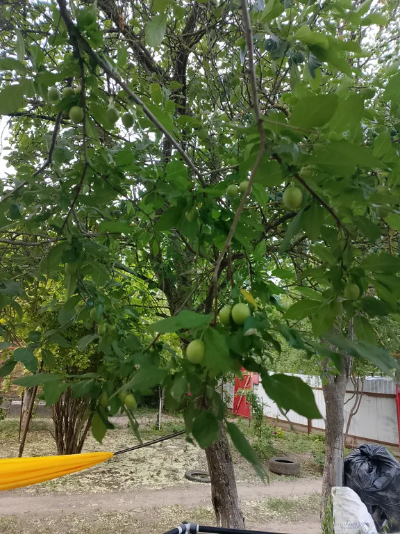 Уютный номер с большим двором