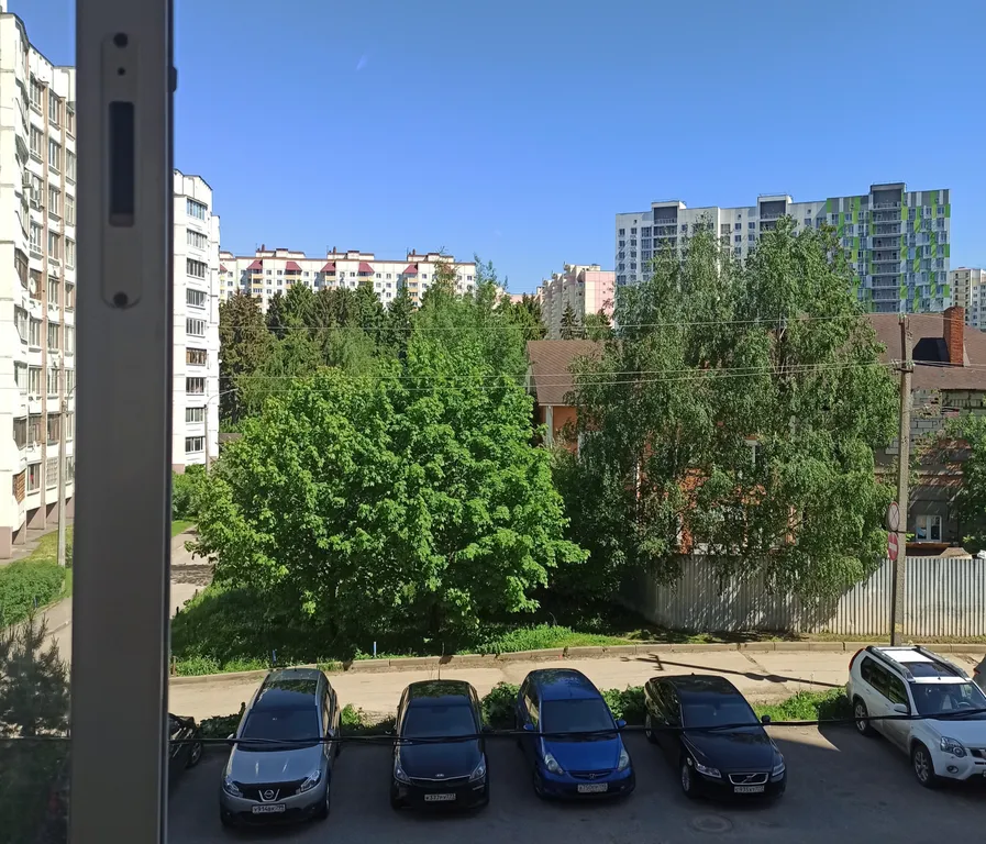 Квартира Горчица