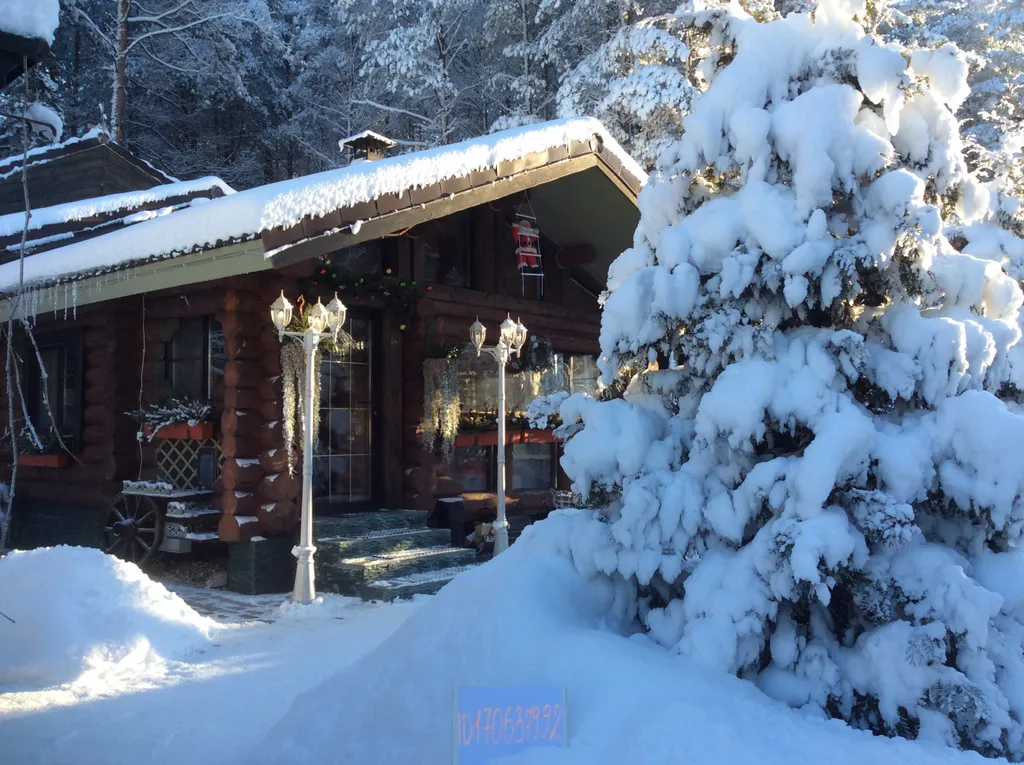 Дом в сосновом бору