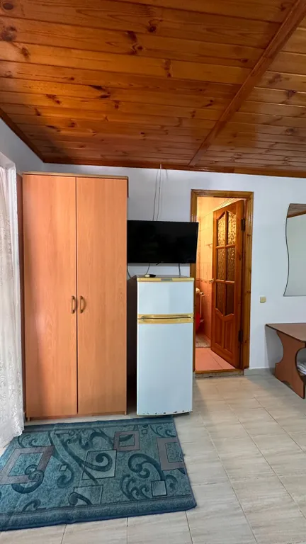 Большая благоустроенная комната с террасой